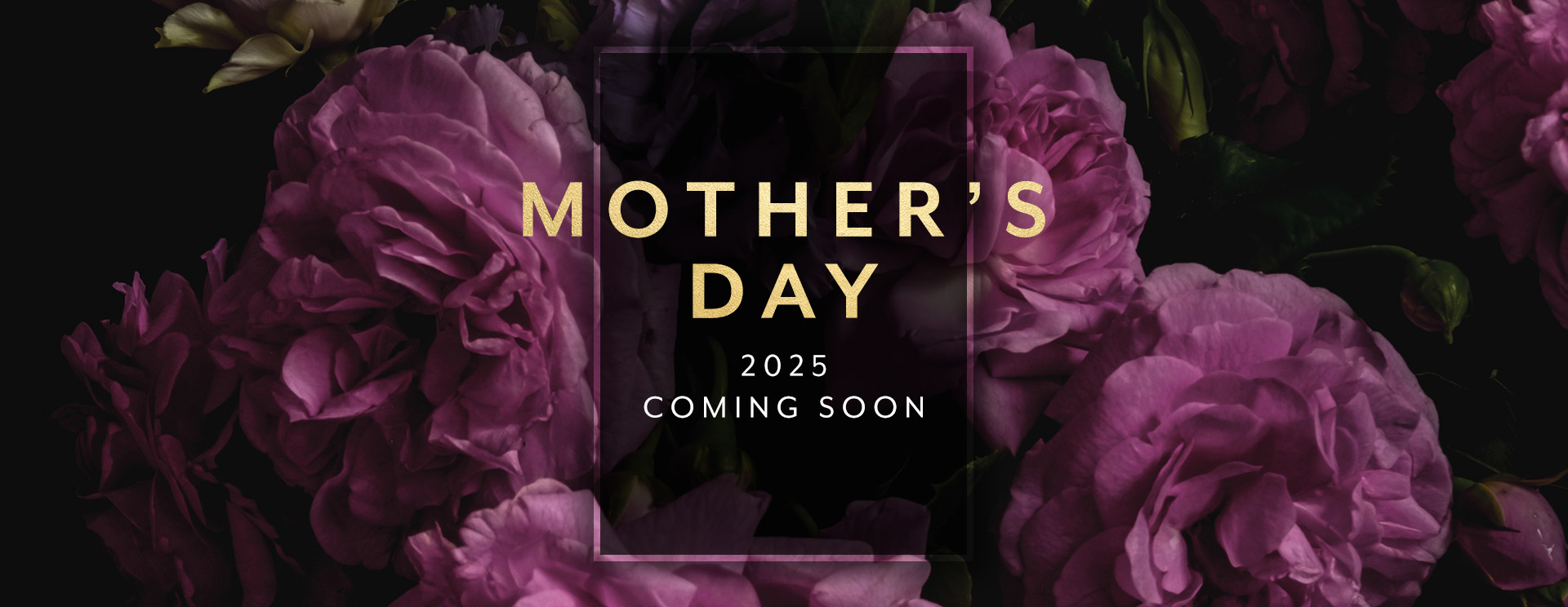Live Now 🔴 Mother's Day Biggest Deals 🔴 - Conturve